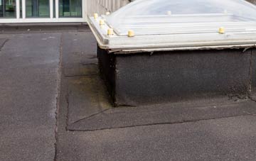 disadvantages of Trescott flat roofs
